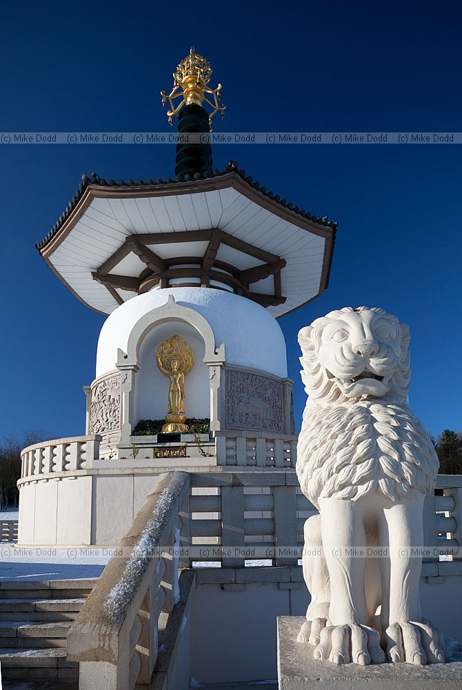 Peace pagoda with snow and blue sky