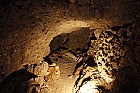Guanche mummy (replica) Icod de Los Vinos